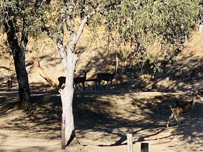 Quail's Roost Campground Picture 3