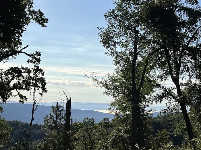 White Oaks Campground Picture 1