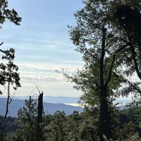 White Oaks Campground ico