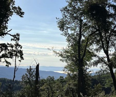 White Oaks Campground