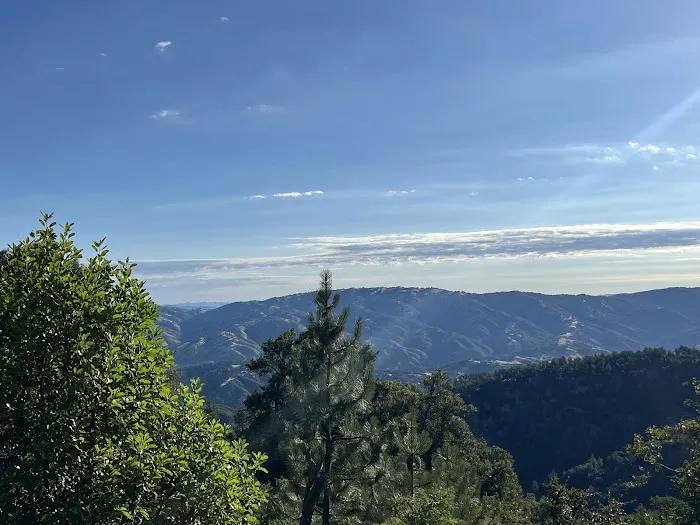 White Oaks Campground Picture 3