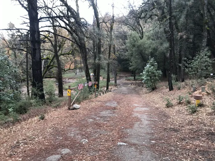 White Oaks Campground Picture 6