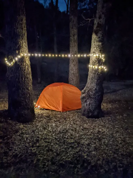 White Oaks Campground Picture 8