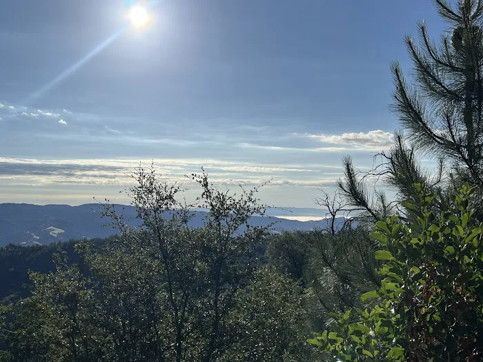 White Oaks Campground Picture 10