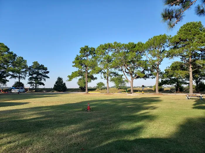 The Colonies RV Travel Park & Country Store Picture 6