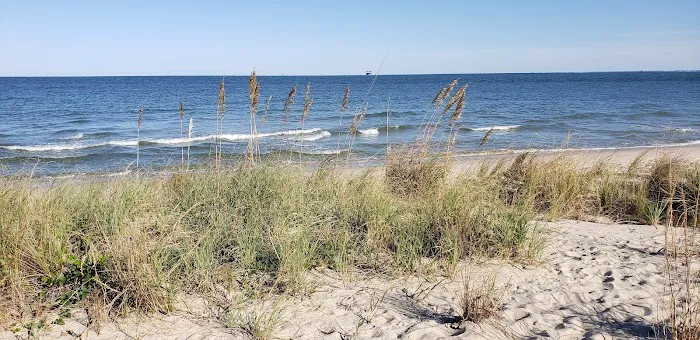 The Colonies RV Travel Park & Country Store Picture 7