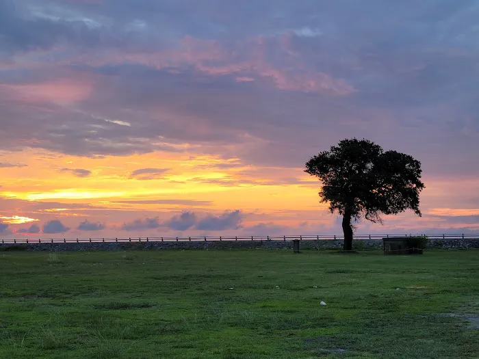 The Colonies RV Travel Park & Country Store Picture 9