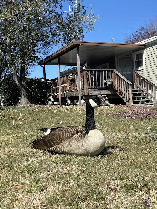 Circle Mobile Home Park, LLC Picture 3