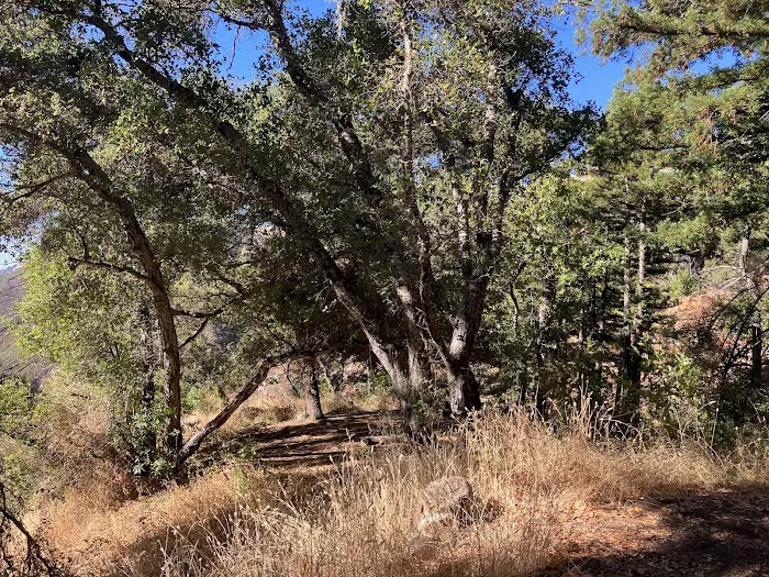 Espinosa Camp Picture 6