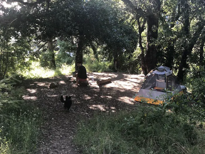 Espinosa Camp Picture 4