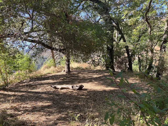Espinosa Camp Picture 5