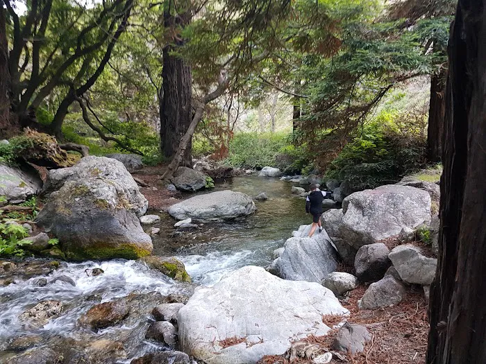 Limekiln Campground Picture 3