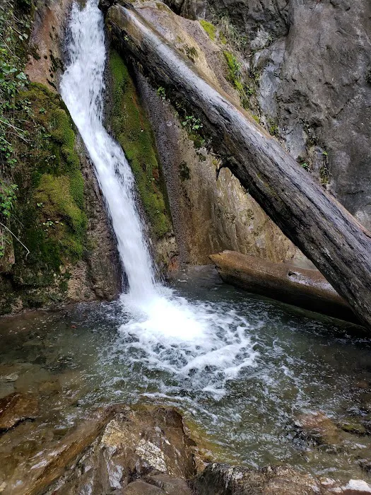 Limekiln Campground Picture 6