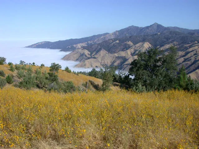 Prewitt Ridge Campground Picture 9