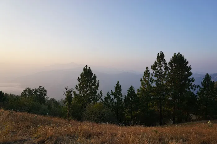 Alms Campground Picture 4