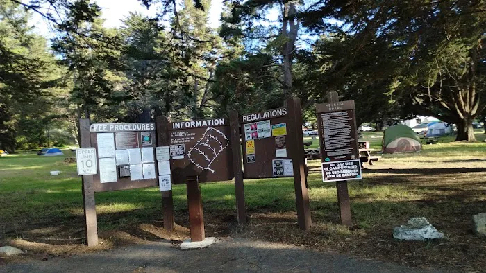 Plaskett Creek Campground Picture 5