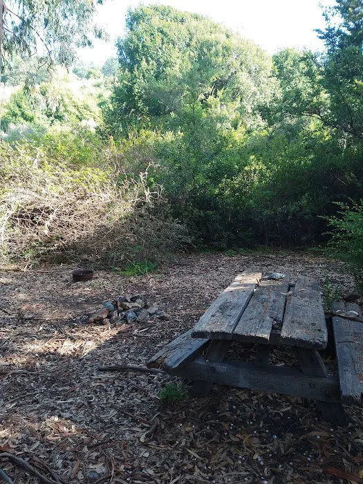 Sycamore Flat Campground Picture 1