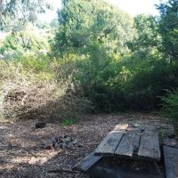 Sycamore Flat Campground ico