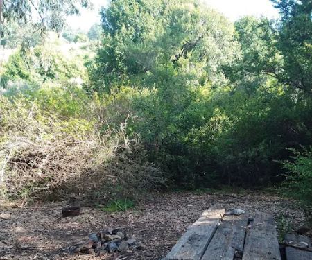 Sycamore Flat Campground