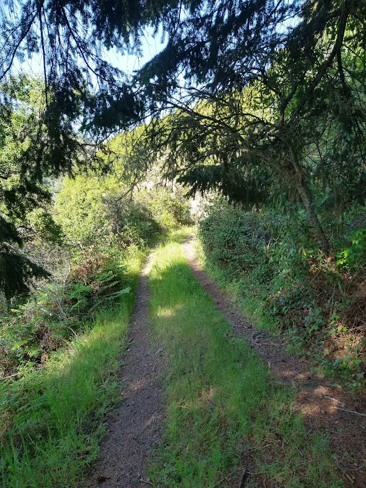 Sycamore Flat Campground Picture 3