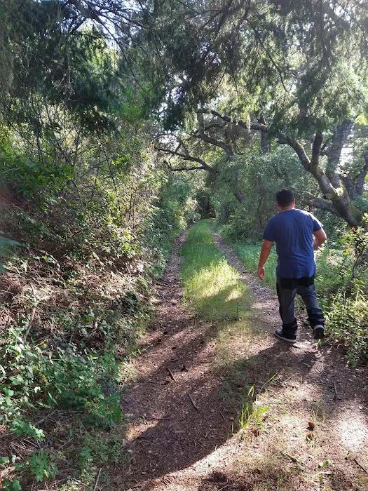 Sycamore Flat Campground Picture 6