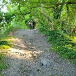 Colonial Run Mobile Home Park