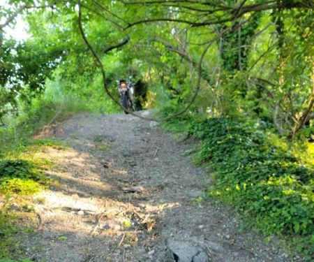 Colonial Run Mobile Home Park