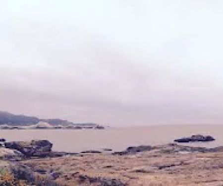 US Forestry Department