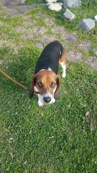 Homecrest Mobile Home Community Picture 9