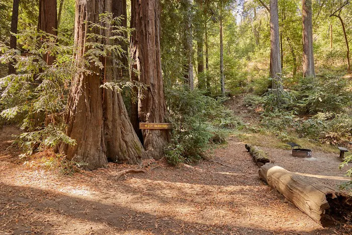 Big Sur Camground & Cabins Picture 2