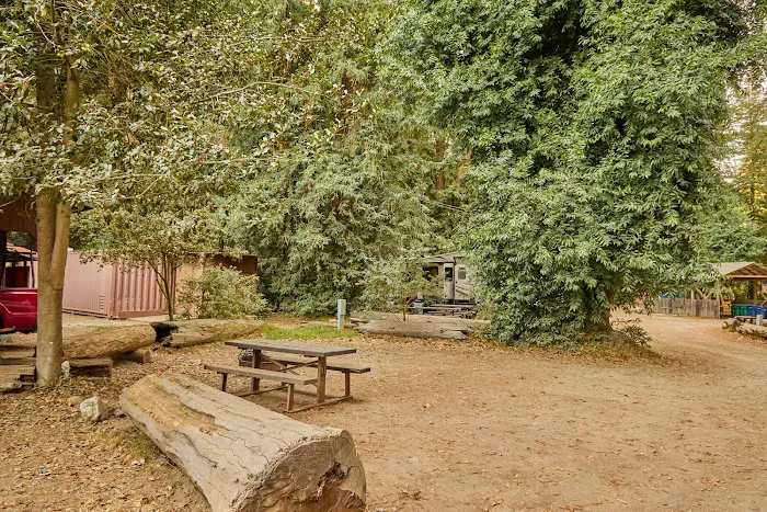 Big Sur Camground & Cabins Picture 4
