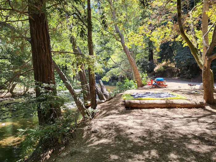 Riverside Campground & Cabins Picture 8