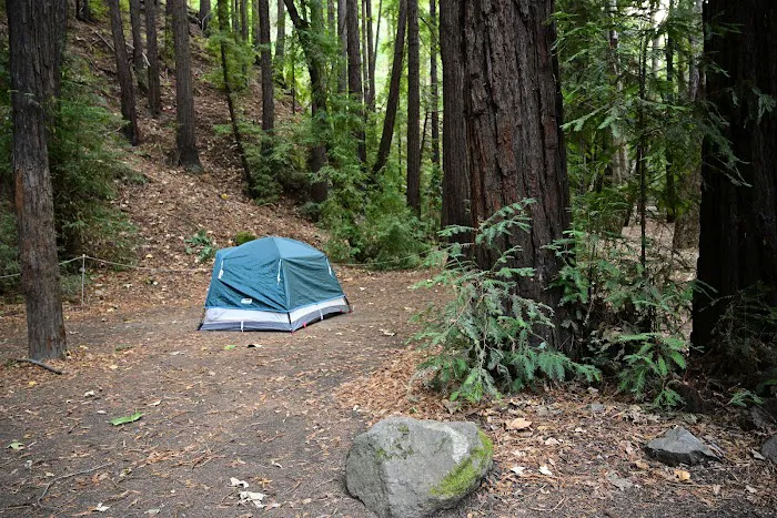 Pfeiffer Big Sur State Park Main Camp Picture 2