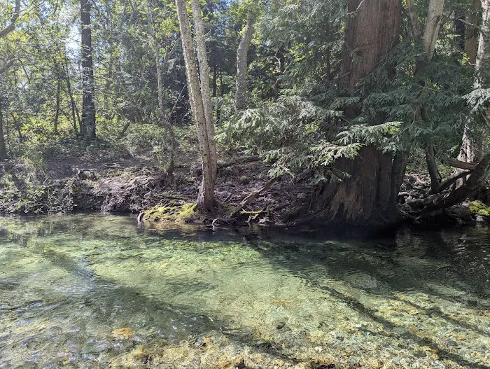 Pfeiffer Big Sur State Park Main Camp Picture 3