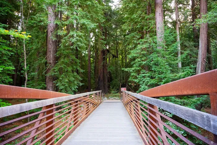Pfeiffer Big Sur State Park Main Camp Picture 6