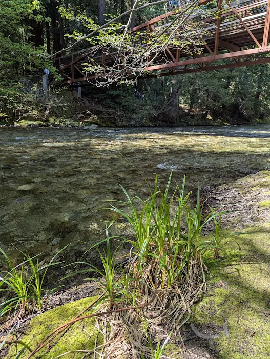 Pfeiffer Big Sur State Park Main Camp Picture 7
