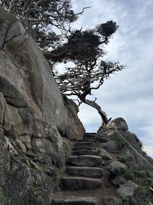 Weyland Campground Picture 3