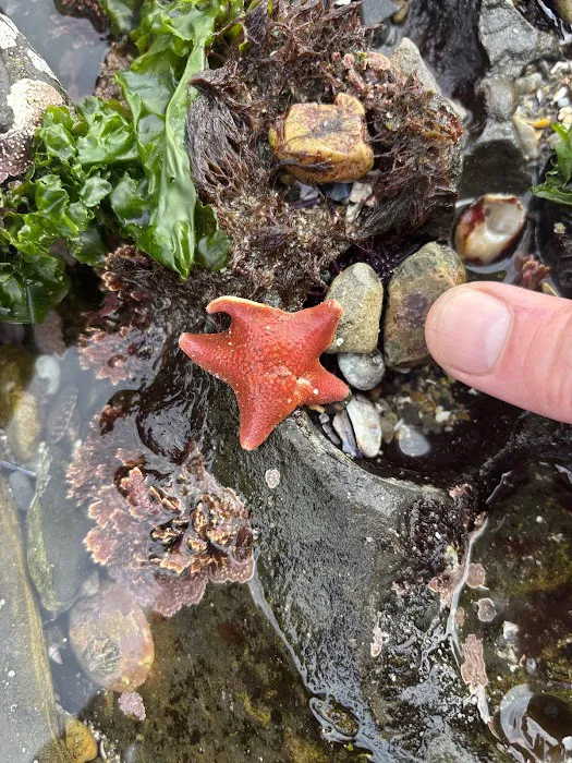 Weyland Campground Picture 5