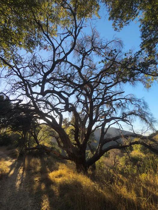 Weyland Campground Picture 8