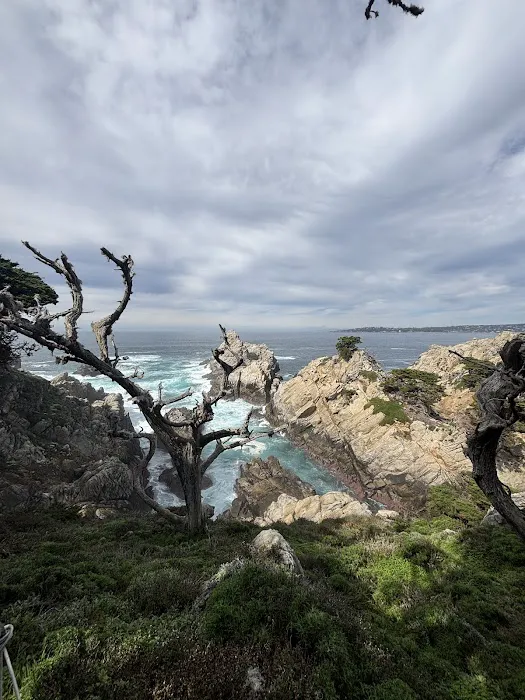 Weyland Campground Picture 6