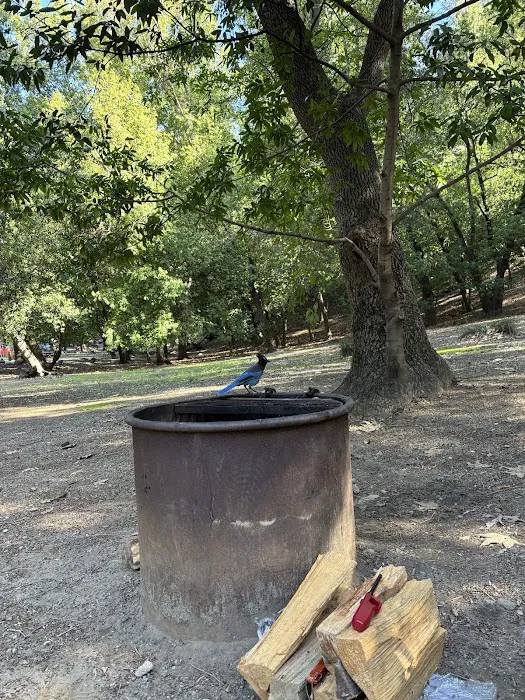 Weyland Campground Picture 7