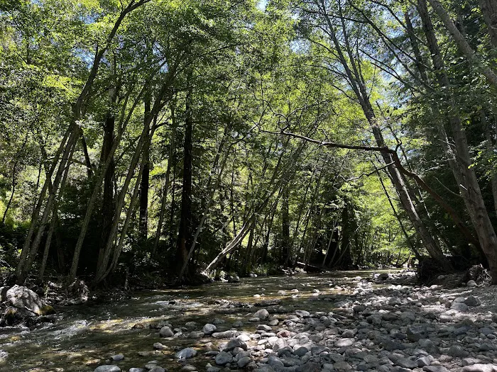 Pfeiffer Big Sur State Park Campground Picture 3