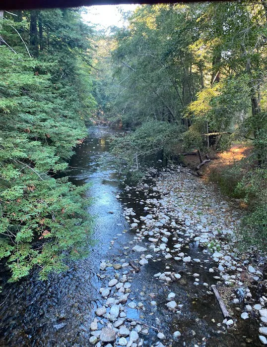 Pfeiffer Big Sur State Park Campground Picture 6