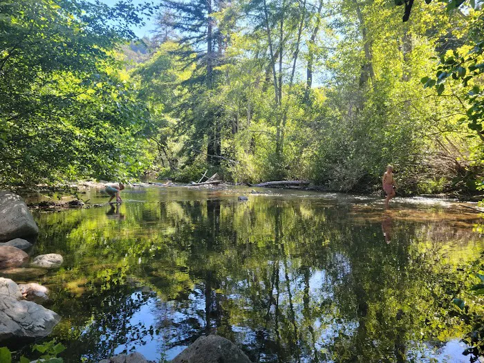 Pfeiffer Big Sur State Park Campground Picture 10