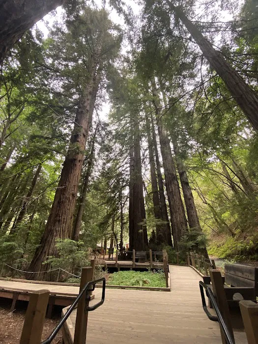 Pfeiffer Big Sur State Park Campground Picture 9