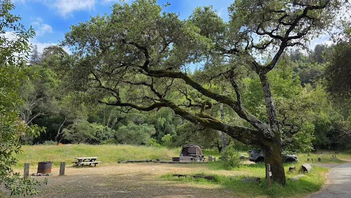 Pfeiffer Big Sur State Park Campground Picture 8