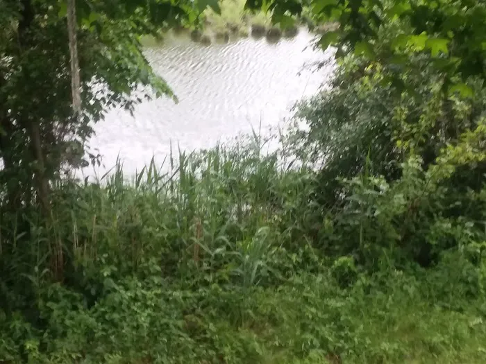 Chesapeake Mobile Home Park Picture 5