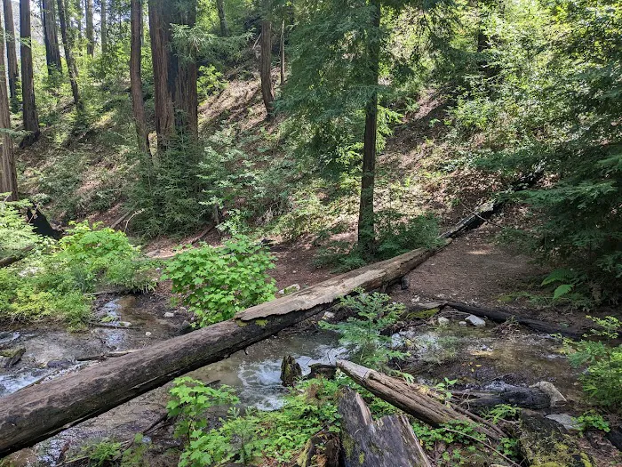 Terrace Creek Camp Picture 5