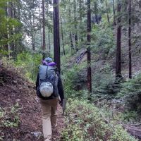 Terrace Creek Camp ico