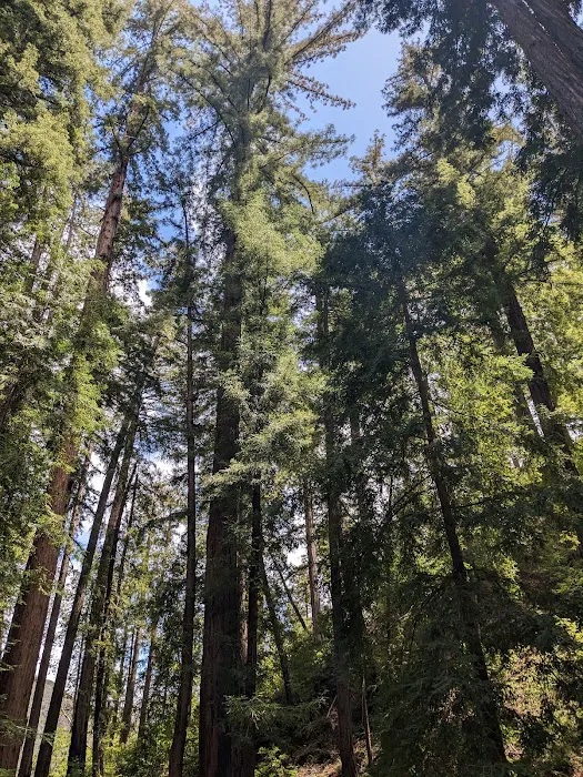 Terrace Creek Camp Picture 4
